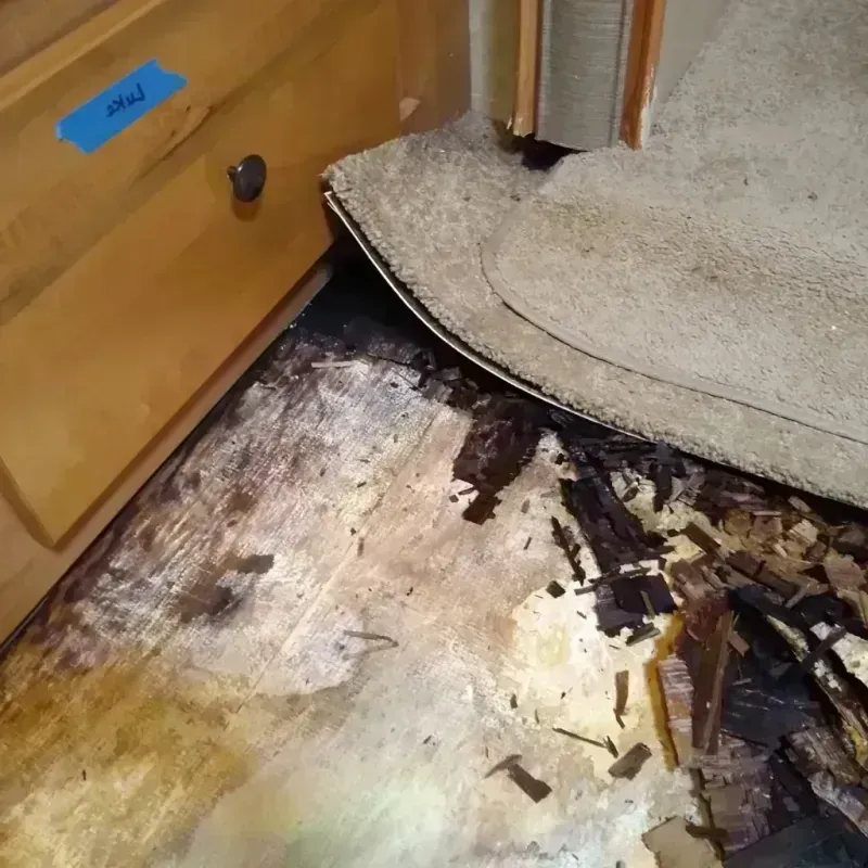 Best Wood Floor Water Damage Service in Henderson County, IL